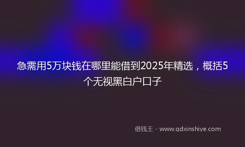 急需用5万块钱在哪里能借到2025年精选，概括5个无视黑白户口子