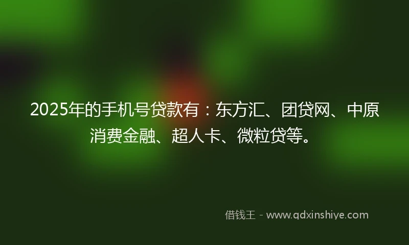 2025年的手机号贷款有：东方汇、团贷网、中原消费金融、超人卡、微粒贷等。