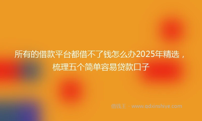 所有的借款平台都借不了钱怎么办2025年精选，梳理五个简单容易贷款口子