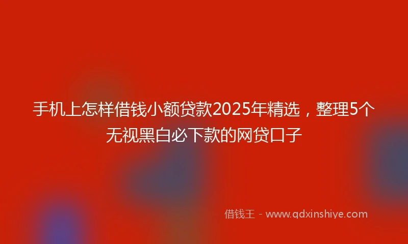 手机上怎样借钱小额贷款2025年精选，整理5个无视黑白必下款的网贷口子