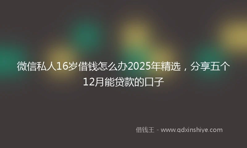 微信私人16岁借钱怎么办2025年精选，分享五个12月能贷款的口子