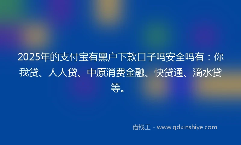 2025年的支付宝有黑户下款口子吗安全吗有：你我贷、人人贷、中原消费金融、快贷通、滴水贷等。