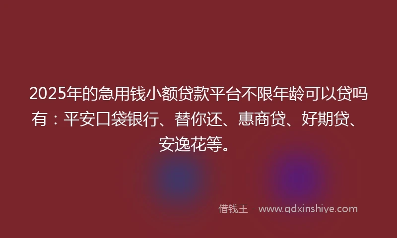 2025年的急用钱小额贷款平台不限年龄可以贷吗有：平安口袋银行、替你还、惠商贷、好期贷、安逸花等。