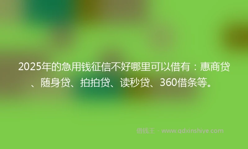2025年的急用钱征信不好哪里可以借有：惠商贷、随身贷、拍拍贷、读秒贷、360借条等。