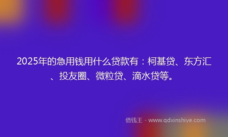 2025年的急用钱用什么贷款有：柯基贷、东方汇、投友圈、微粒贷、滴水贷等。