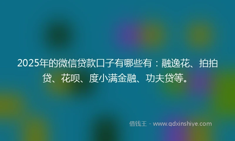 2025年的微信贷款口子有哪些有：融逸花、拍拍贷、花呗、度小满金融、功夫贷等。