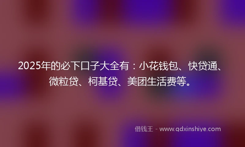 2025年的必下口子大全有：小花钱包、快贷通、微粒贷、柯基贷、美团生活费等。