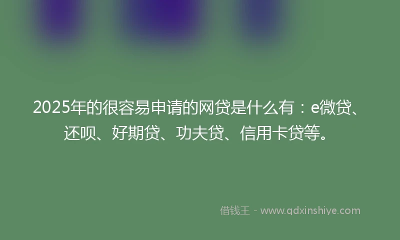 2025年的很容易申请的网贷是什么有：e微贷、还呗、好期贷、功夫贷、信用卡贷等。