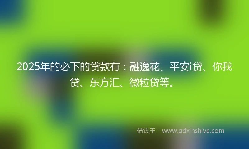 2025年的必下的贷款有：融逸花、平安i贷、你我贷、东方汇、微粒贷等。