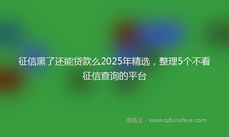 征信黑了还能贷款么2025年精选，整理5个不看征信查询的平台