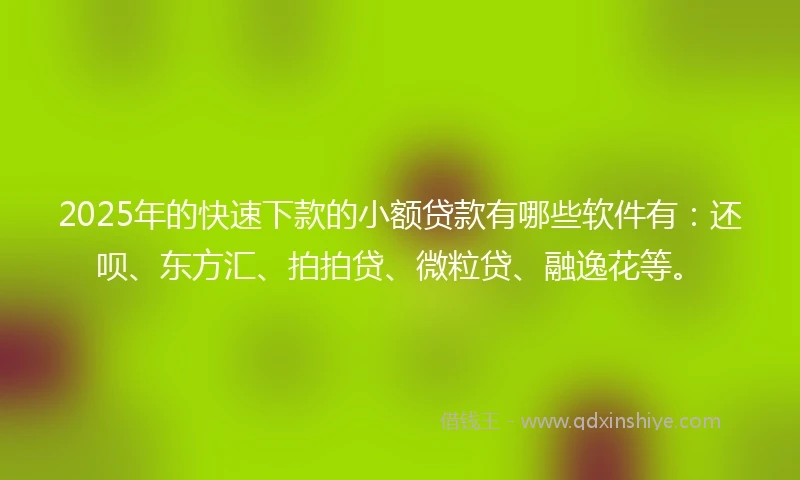 2025年的快速下款的小额贷款有哪些软件有：还呗、东方汇、拍拍贷、微粒贷、融逸花等。
