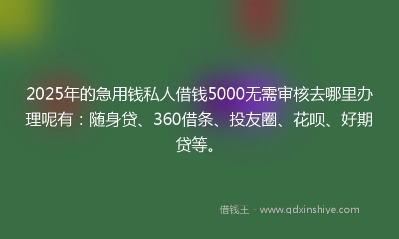 2025年的急用钱私人借钱5000无需审核去哪里办理呢有：随身贷、360借条、投友圈、花呗、好期贷等。