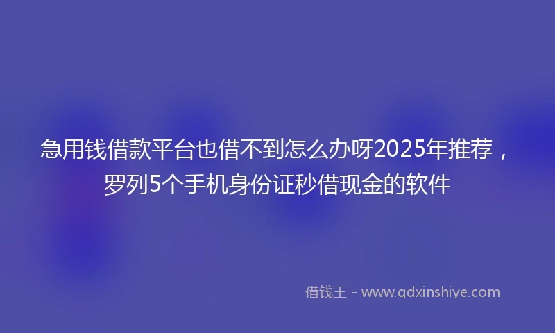 急用钱借款平台也借不到怎么办呀2025年推荐，罗列5个手机身份证秒借现金的软件