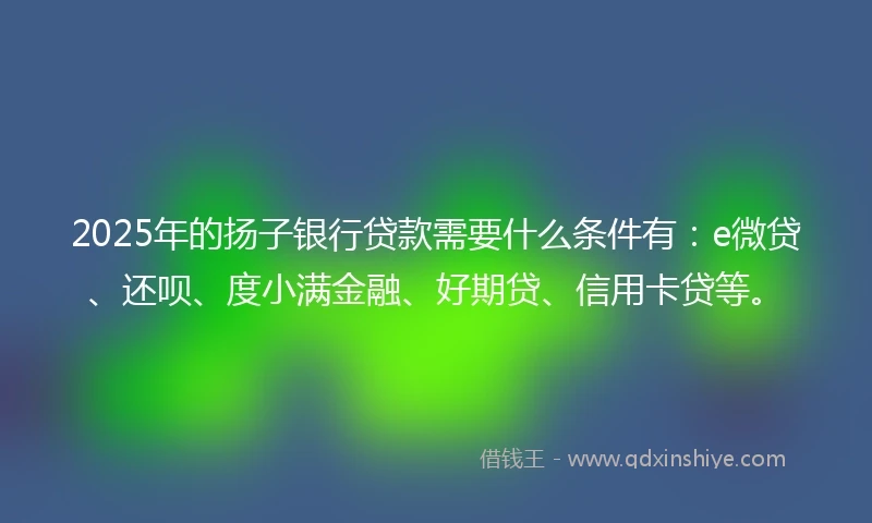 2025年的扬子银行贷款需要什么条件有：e微贷、还呗、度小满金融、好期贷、信用卡贷等。