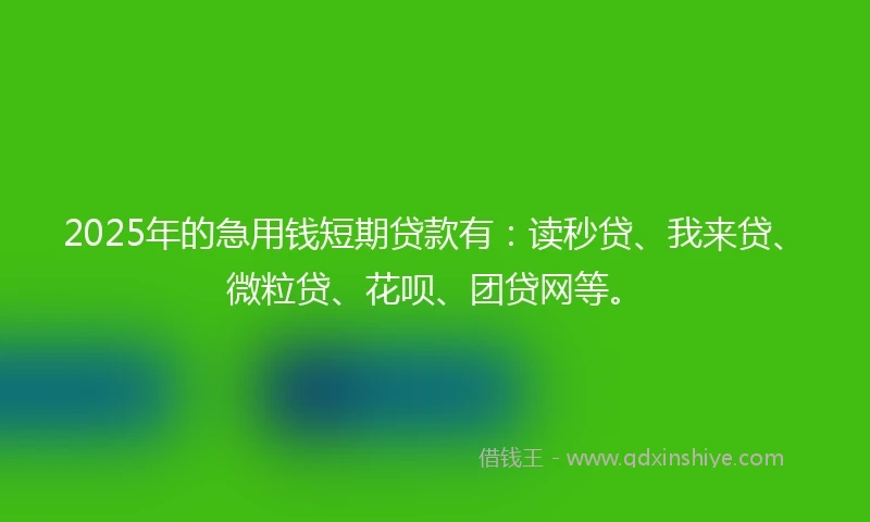 2025年的急用钱短期贷款有:读秒贷、我来贷、微粒贷、花呗、团贷网等。
