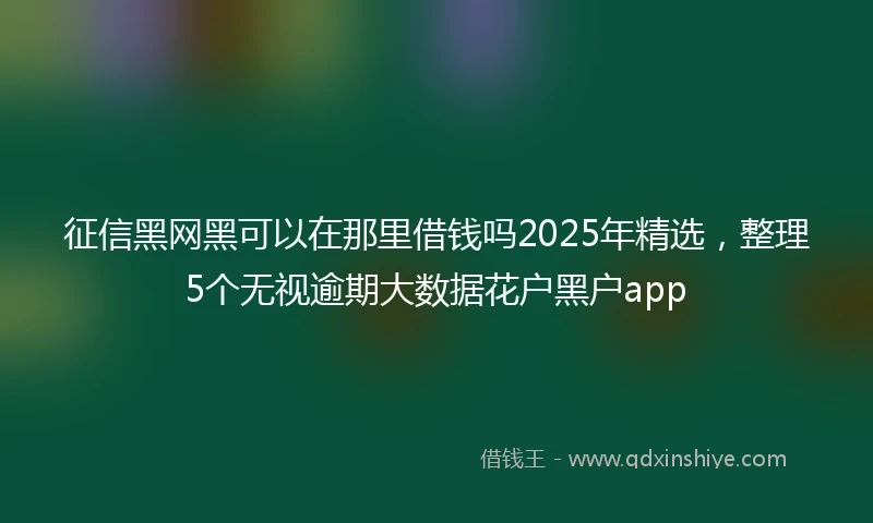 征信黑网黑可以在那里借钱吗2025年精选，整理5个无视逾期大数据花户黑户app