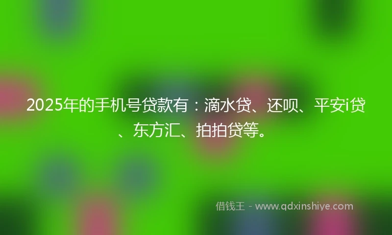 2025年的手机号贷款有：滴水贷、还呗、平安i贷、东方汇、拍拍贷等。