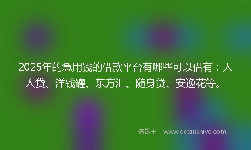 2025年的急用钱的借款平台有哪些可以借有：人人贷、洋钱罐、东方汇、随身贷、安逸花等。