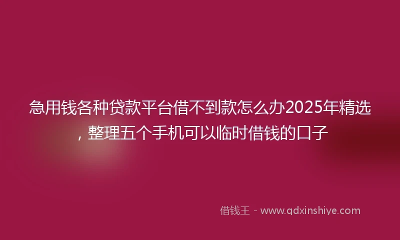 急用钱各种贷款平台借不到款怎么办2025年精选，整理五个手机可以临时借钱的口子