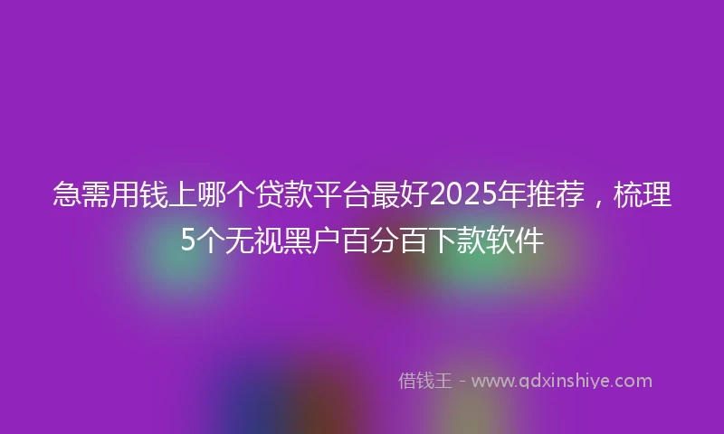 急需用钱上哪个贷款平台最好2025年推荐，梳理5个无视黑户百分百下款软件