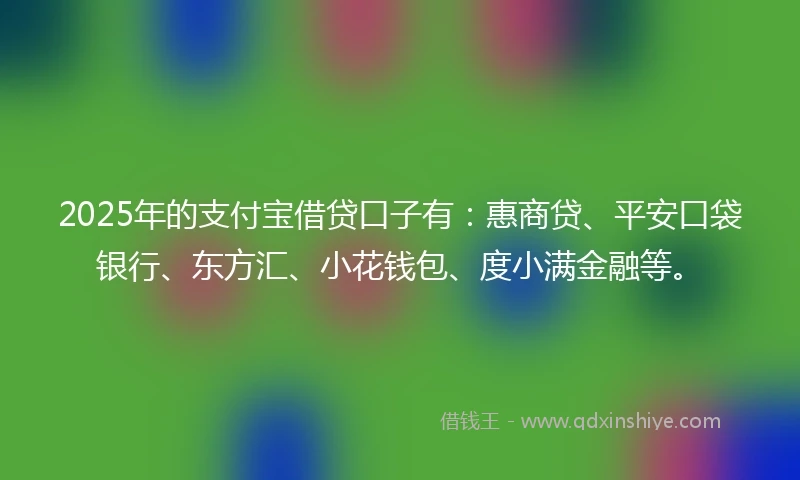 2025年的支付宝借贷口子有：惠商贷、平安口袋银行、东方汇、小花钱包、度小满金融等。