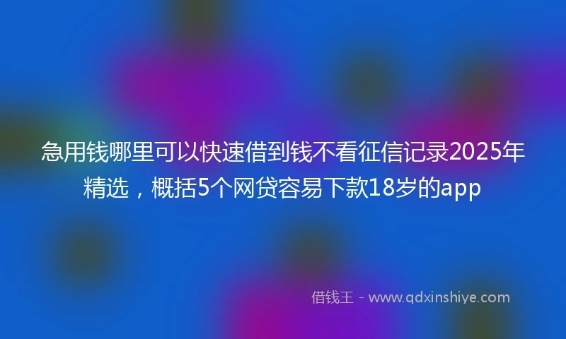急用钱哪里可以快速借到钱不看征信记录2025年精选，概括5个网贷容易下款18岁的app