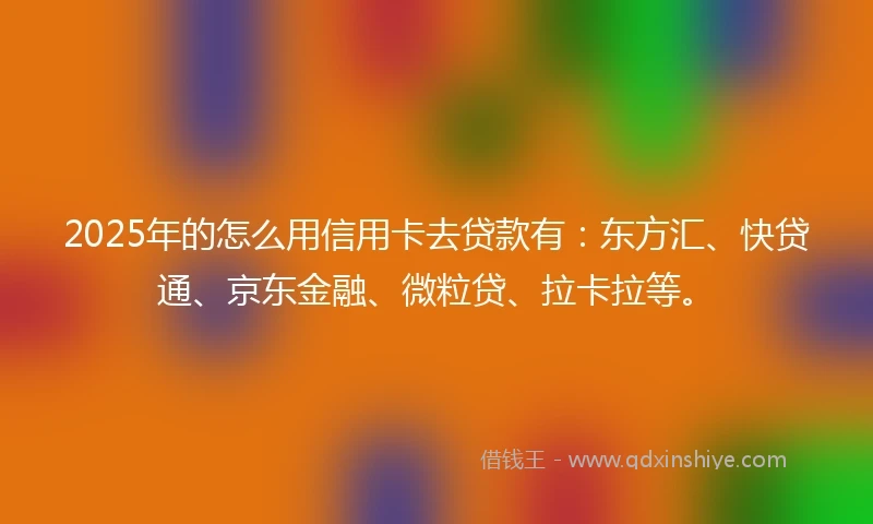 2025年的怎么用信用卡去贷款有：东方汇、快贷通、京东金融、微粒贷、拉卡拉等。