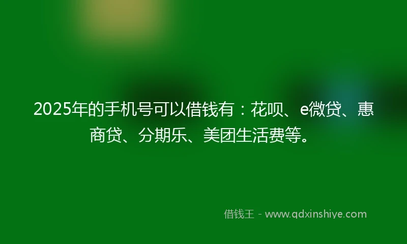 2025年的手机号可以借钱有：花呗、e微贷、惠商贷、分期乐、美团生活费等。