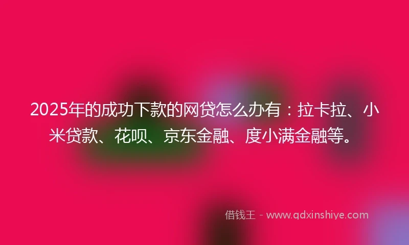 2025年的成功下款的网贷怎么办有：拉卡拉、小米贷款、花呗、京东金融、度小满金融等。