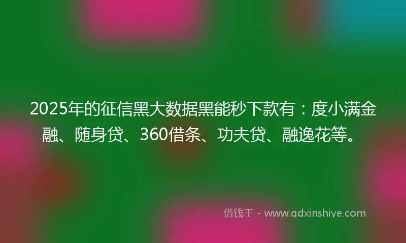 2025年的征信黑大数据黑能秒下款有：度小满金融、随身贷、360借条、功夫贷、融逸花等。