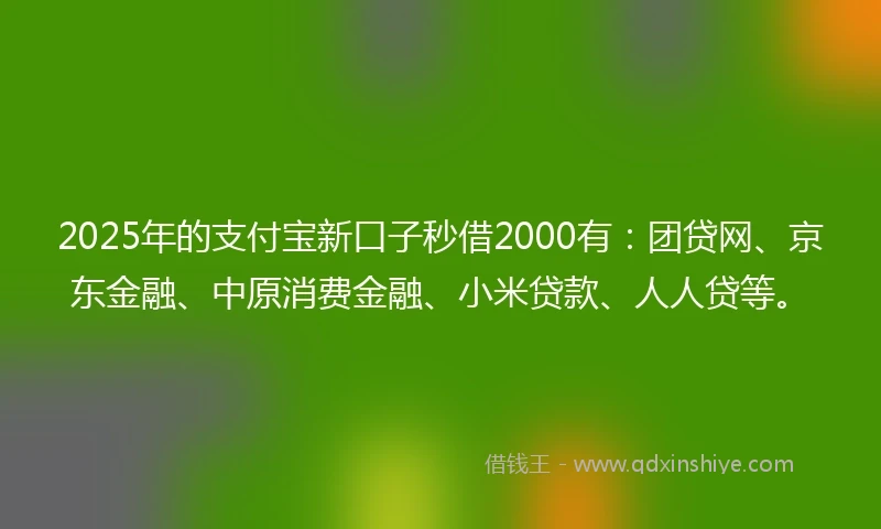 2025年的支付宝新口子秒借2000有:团贷网、京东金融、中原消费金融、小米贷款、人人贷等。