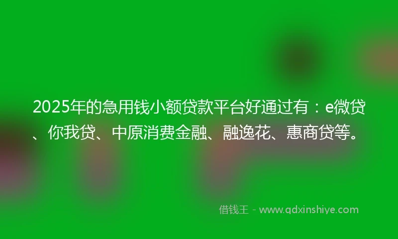 2025年的急用钱小额贷款平台好通过有：e微贷、你我贷、中原消费金融、融逸花、惠商贷等。
