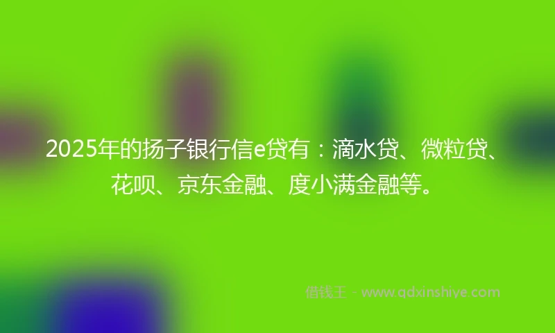 2025年的扬子银行信e贷有：滴水贷、微粒贷、花呗、京东金融、度小满金融等。