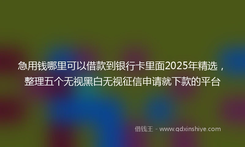 急用钱哪里可以借款到银行卡里面2025年精选，整理五个无视黑白无视征信申请就下款的平台