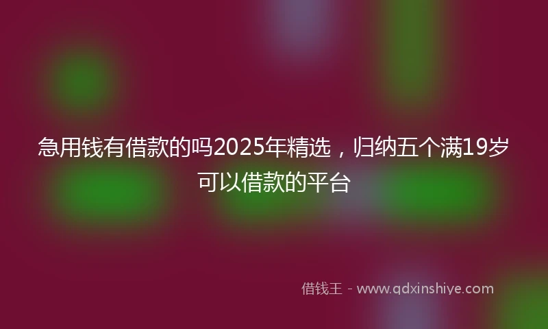 急用钱有借款的吗2025年精选，归纳五个满19岁可以借款的平台
