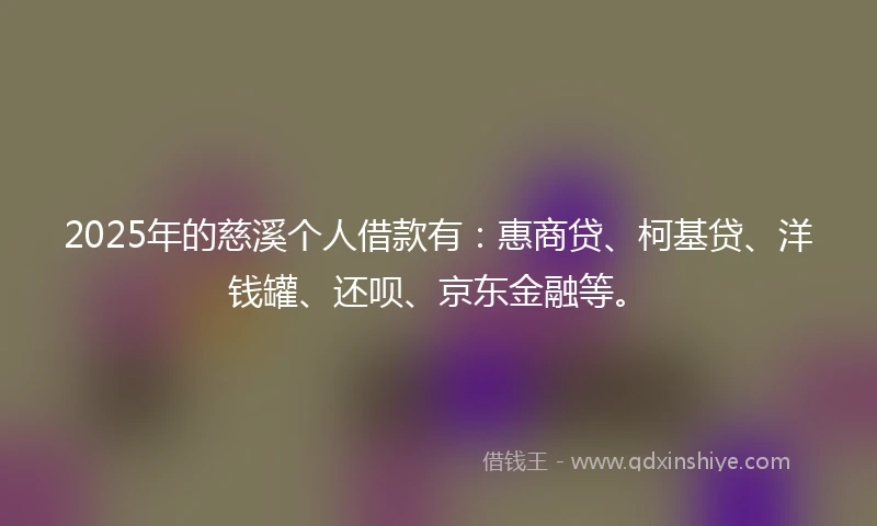 2025年的慈溪个人借款有：惠商贷、柯基贷、洋钱罐、还呗、京东金融等。