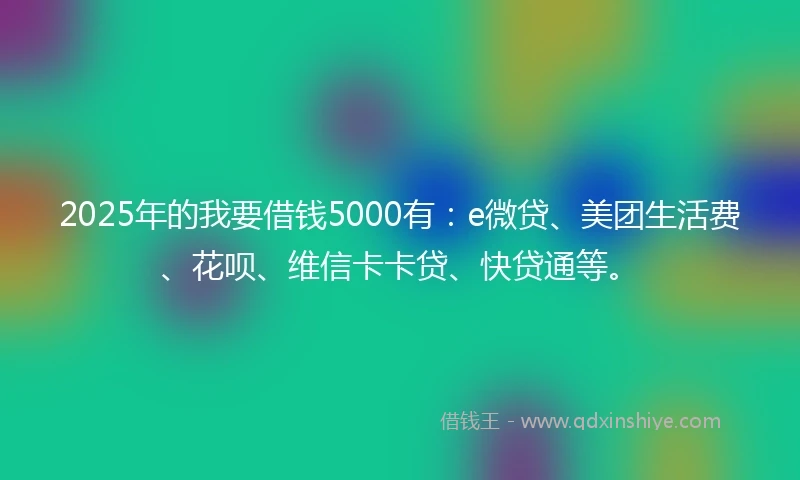 2025年的我要借钱5000有：e微贷、美团生活费、花呗、维信卡卡贷、快贷通等。