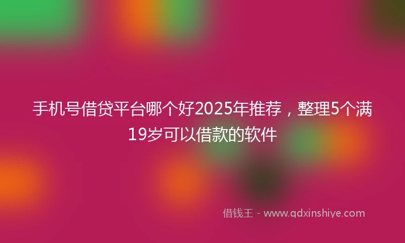 手机号借贷平台哪个好2025年推荐，整理5个满19岁可以借款的软件
