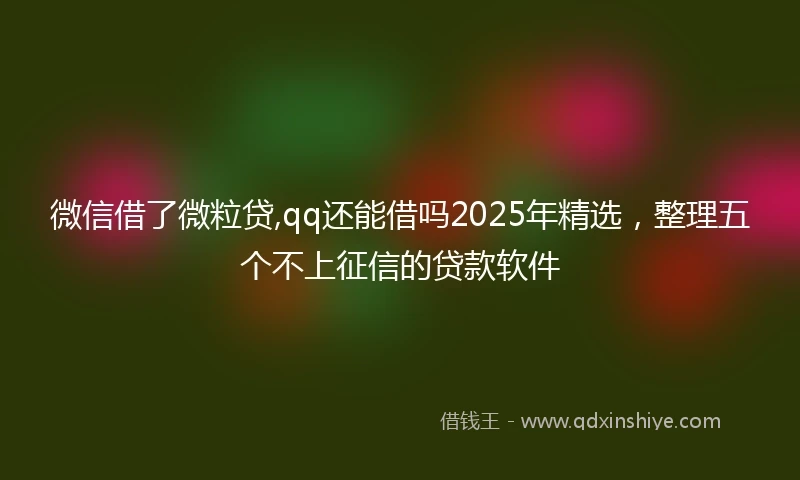 微信借了微粒贷,qq还能借吗2025年精选，整理五个不上征信的贷款软件