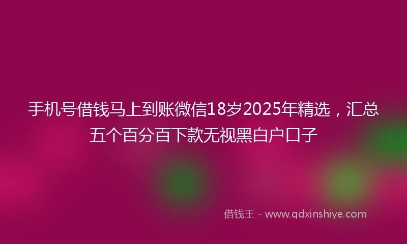手机号借钱马上到账微信18岁2025年精选，汇总五个百分百下款无视黑白户口子