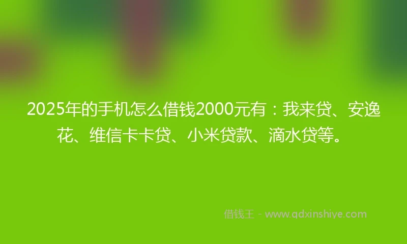 2025年的手机怎么借钱2000元有：我来贷、安逸花、维信卡卡贷、小米贷款、滴水贷等。