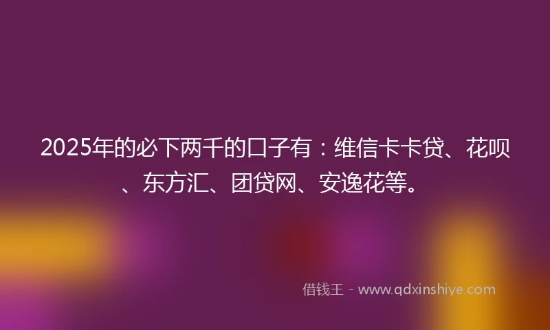 2025年的必下两千的口子有：维信卡卡贷、花呗、东方汇、团贷网、安逸花等。