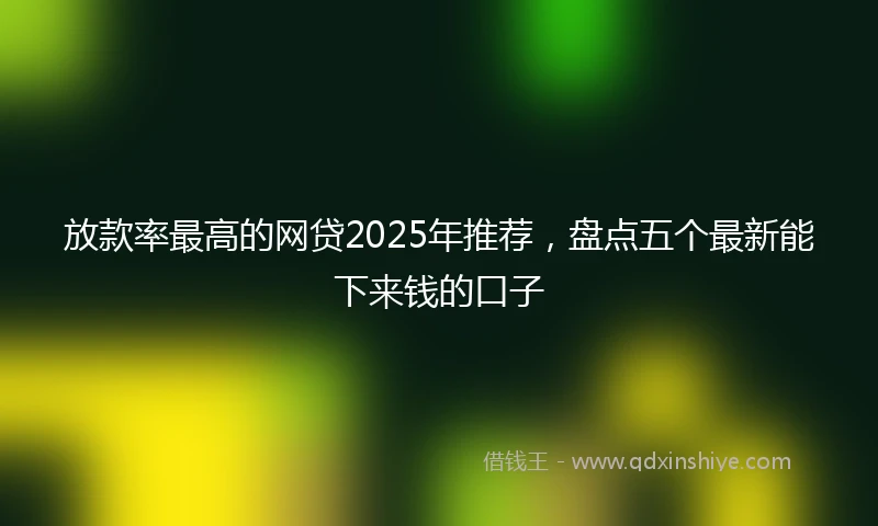 放款率最高的网贷2025年推荐，盘点五个最新能下来钱的口子