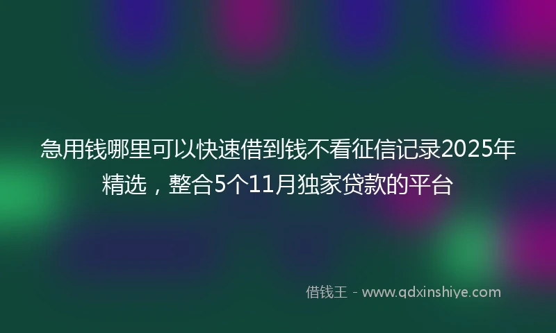 急用钱哪里可以快速借到钱不看征信记录2025年精选，整合5个11月独家贷款的平台