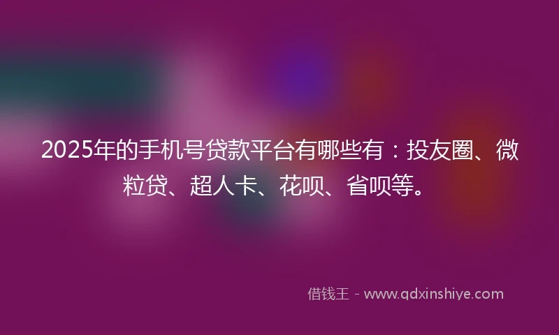 2025年的手机号贷款平台有哪些有：投友圈、微粒贷、超人卡、花呗、省呗等。