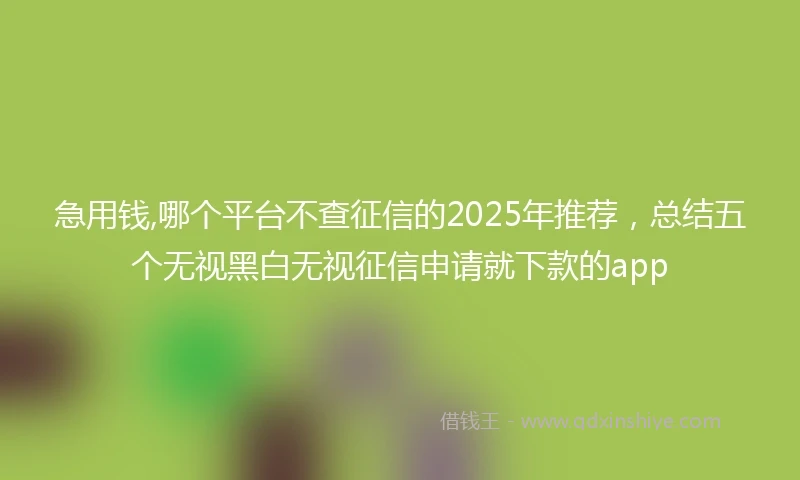 急用钱,哪个平台不查征信的2025年推荐，总结五个无视黑白无视征信申请就下款的app