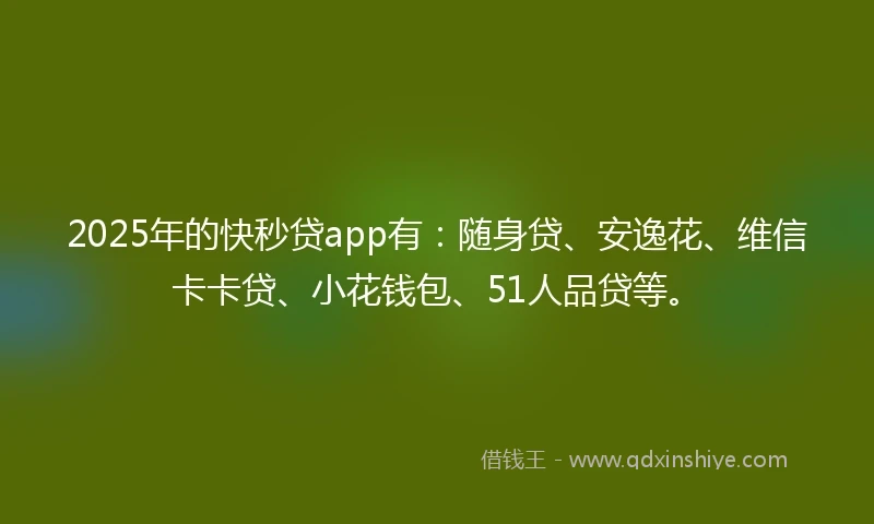 2025年的快秒贷app有：随身贷、安逸花、维信卡卡贷、小花钱包、51人品贷等。