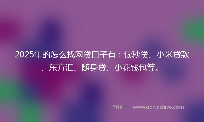 2025年的怎么找网贷口子有：读秒贷、小米贷款、东方汇、随身贷、小花钱包等。