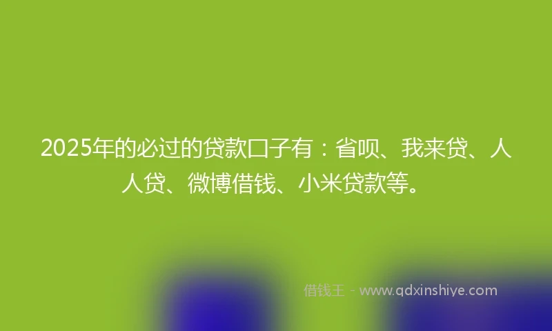 2025年的必过的贷款囗子有：省呗、我来贷、人人贷、微博借钱、小米贷款等。