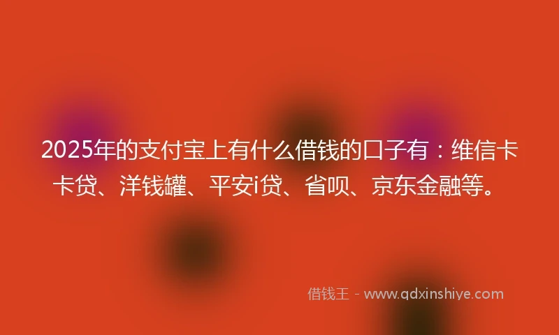2025年的支付宝上有什么借钱的口子有：维信卡卡贷、洋钱罐、平安i贷、省呗、京东金融等。